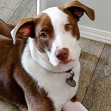 Entry image for Princess 