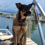 Entry image for ZOEY 