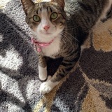 Entry image for Princess