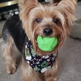 Entry image for Winslow