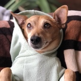 Entry image for Marth