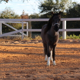 Entry image for Colton