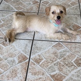 Entry image for Lilo