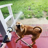 Entry image for Leah 