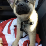 Entry image for Levi Hooten  