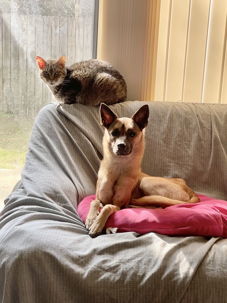 Entry image for Winston and Kairi. Clicking this image will show a larger photo