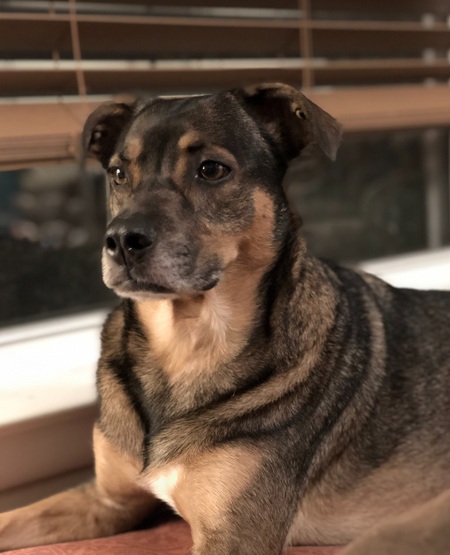 Entry image for Cody . Clicking this image will show a larger photo