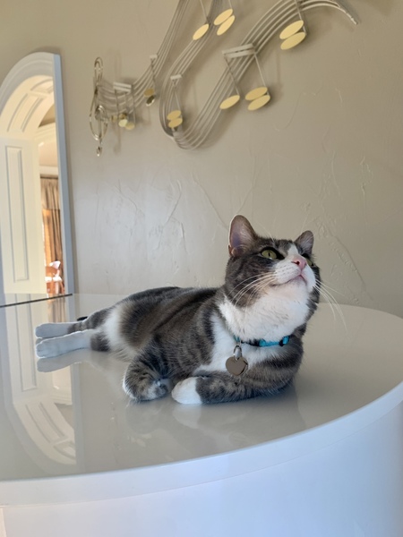 Entry image for Chile. Clicking this image will show a larger photo