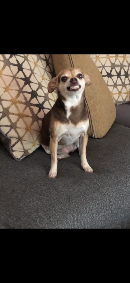 Entry image for Baby. Clicking this image will show a larger photo