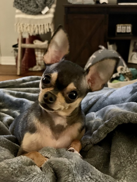 Entry image for Mally . Clicking this image will show a larger photo