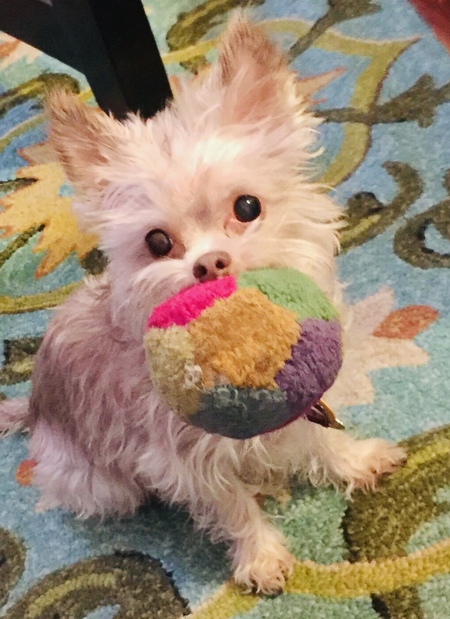 Entry image for Edward G.. Clicking this image will show a larger photo