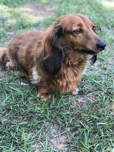 Entry image for Tucker. Clicking this image will show a larger photo