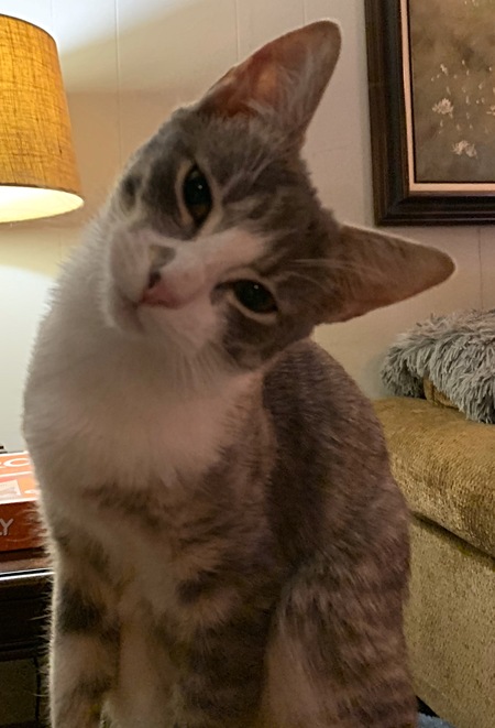 Entry image for Hazmat. Clicking this image will show a larger photo