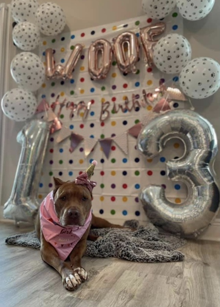 Entry image for Karma. Clicking this image will show a larger photo