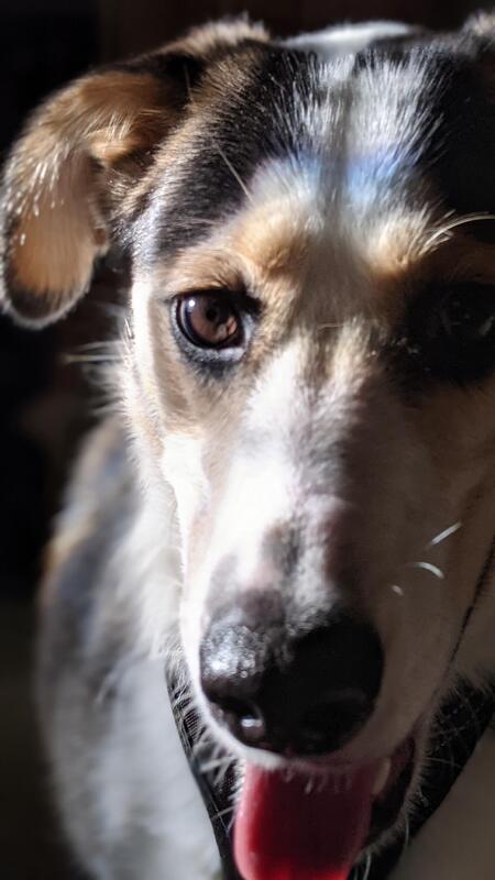 Entry image for Jack. Clicking this image will show a larger photo