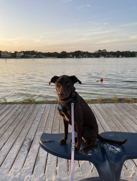 Entry image for Raina. Clicking this image will show a larger photo