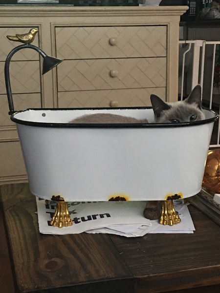 Entry image for Bristol. Clicking this image will show a larger photo