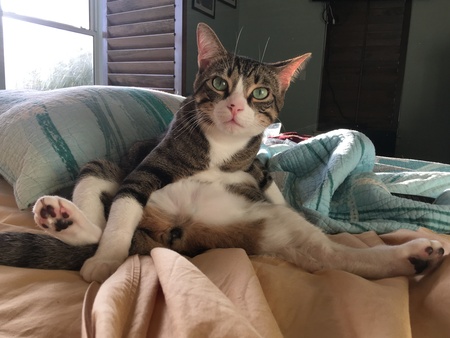 Entry image for Fisher. Clicking this image will show a larger photo