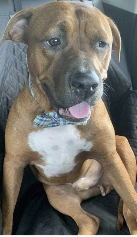 Entry image for Wayne . Clicking this image will show a larger photo