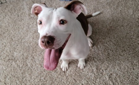 Entry image for Zella. Clicking this image will show a larger photo