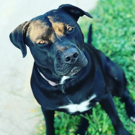 Entry image for Midnight . Clicking this image will show a larger photo