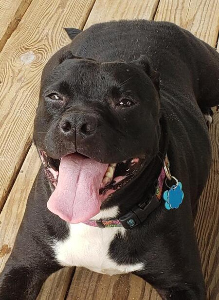 Entry image for Marcie. Clicking this image will show a larger photo