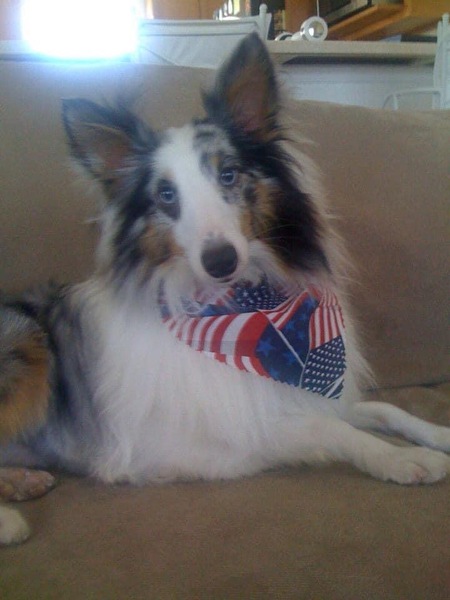 Entry image for Bluangel. Clicking this image will show a larger photo