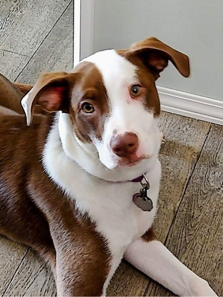 Entry image for Princess . Clicking this image will show a larger photo