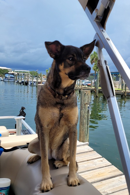 Entry image for ZOEY . Clicking this image will show a larger photo