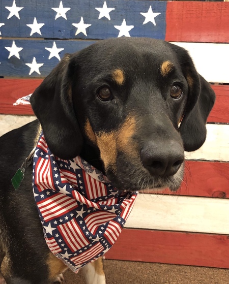 Entry image for Sammie. Clicking this image will show a larger photo