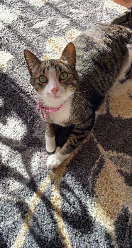 Entry image for Princess. Clicking this image will show a larger photo