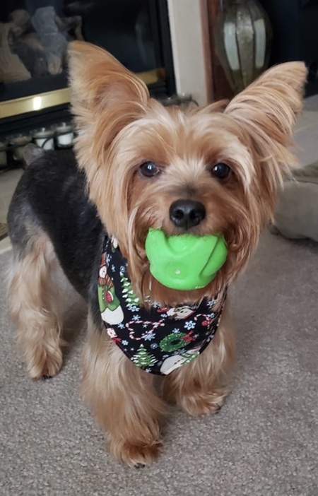 Entry image for Winslow. Clicking this image will show a larger photo