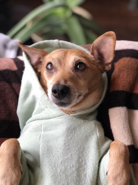 Entry image for Marth. Clicking this image will show a larger photo