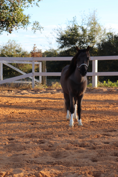 Entry image for Colton. Clicking this image will show a larger photo