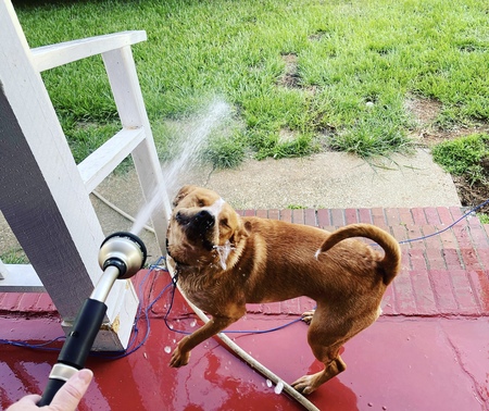 Entry image for Leah . Clicking this image will show a larger photo