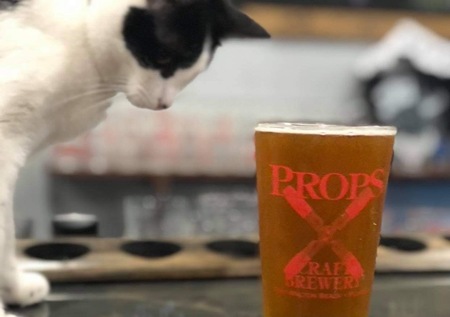 Entry image for Lovejoy. Clicking this image will show a larger photo