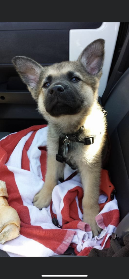 Entry image for Levi Hooten  . Clicking this image will show a larger photo