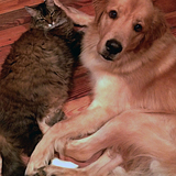 Entry image for Two Socs & Dusty