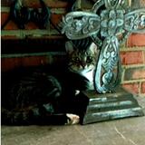 Entry image for Mittens