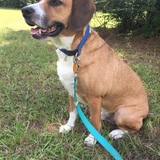 Entry image for MURPHY