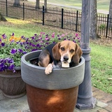 Entry image for Tucker