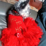 Entry image for Abby
