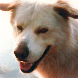 Entry image for Zac