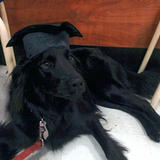 Entry image for Hester
