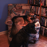 Entry image for Emily & Heather