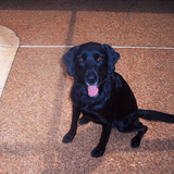 Entry image for Heather