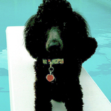 Entry image for Josette