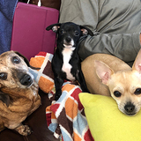 Entry image for Aubrie, Bodie & Paris Hilton