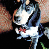 Entry image for Lucy