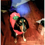 Entry image for Lucy